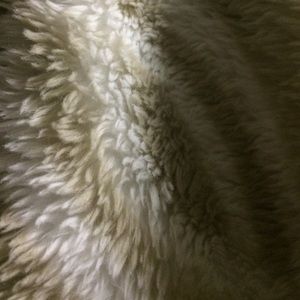 Meet your Posher, Abbey