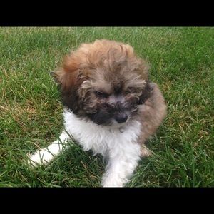 Meet your Posher, Becky