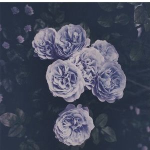 Meet your Posher, Sydnee