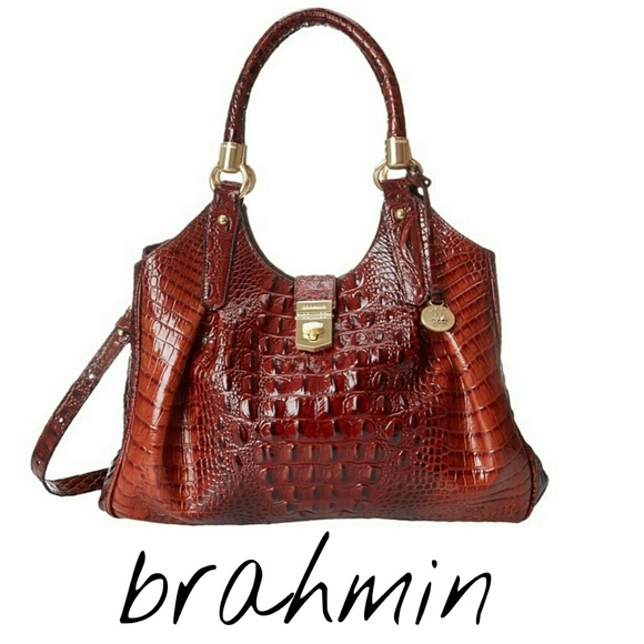 Brahmin Elisa