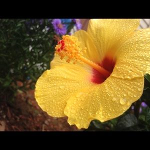 Meet your Posher, Karissa