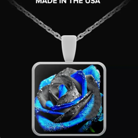 Meet your Posher, Dusti - Picture 1 of 1