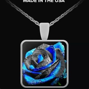 Meet your Posher, Dusti