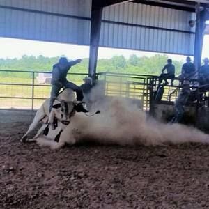 Meet your Posher, Zachary