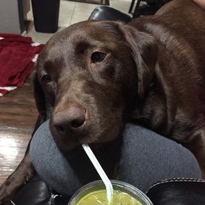 Meet your Posher, Brittney