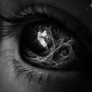 Meet your Posher, Ann