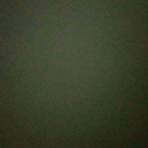 Meet your Posher, Justine