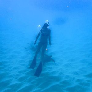 Meet your Posher, Crystal