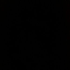 Meet your Posher, Anne