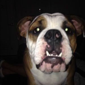 Meet your Posher, Paulette