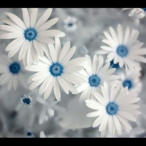 Meet your Posher, Arielle