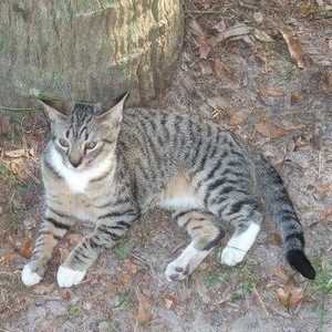 Meet your Posher, Liza