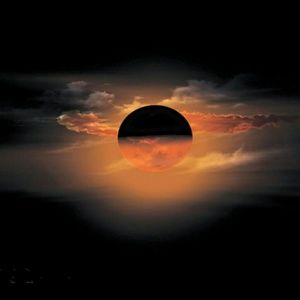 Meet your Posher, Celia