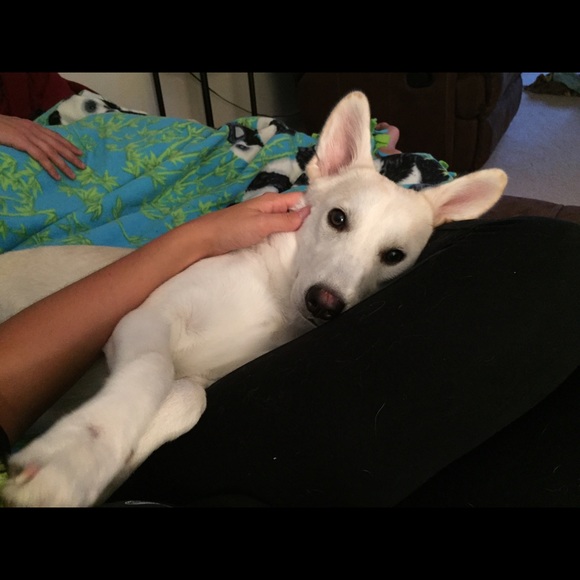 Meet your Posher, Julia - Picture 1 of 1