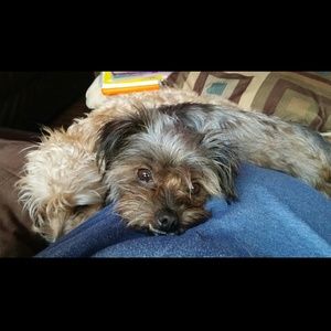 Meet your Posher, Christina