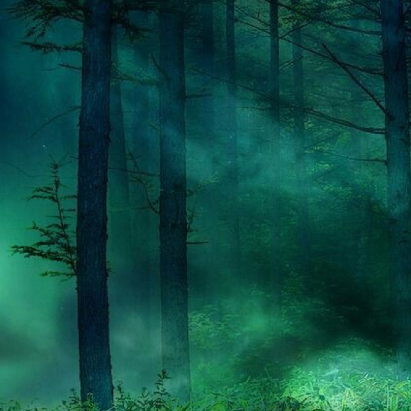 Meet your Posher, Paula - Picture 1 of 1