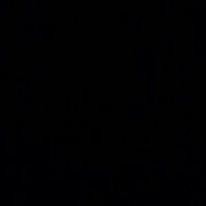 Meet your Posher, Leo