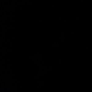 Meet your Posher, Misty