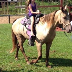 Meet your Posher, Tara