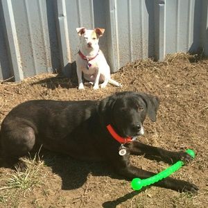 Meet your Posher, Cheyanne