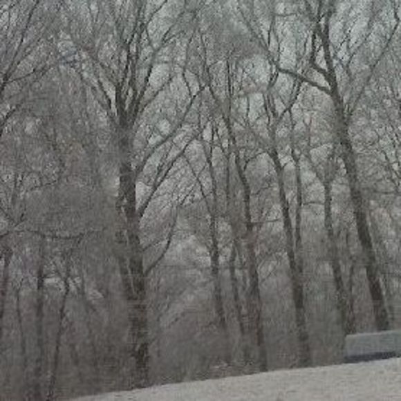 Meet your Posher, Gail