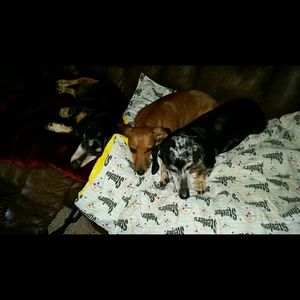 Meet your Posher, Natalie