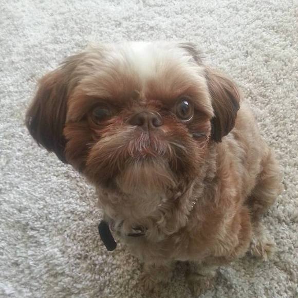 Meet your Posher, Kim - Picture 1 of 1