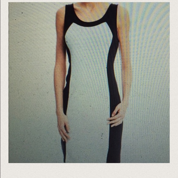 Premise Dresses Dresses & Skirts - Premise Dresses sleeveless dress with back zipper