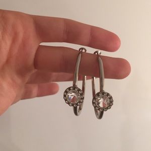 Hoop earnings with jewel in middle!