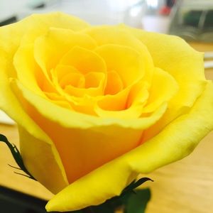 Meet your Posher, Staci