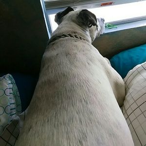 Meet your Posher, Robyn