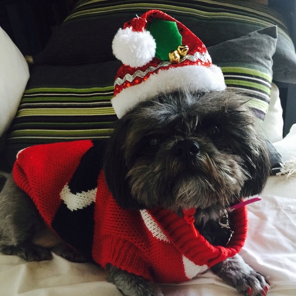 Meet your Posher, Miss B - Picture 2 of 4