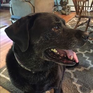 Meet your Posher, Vicki