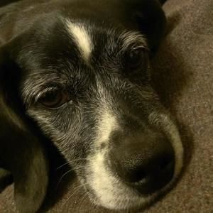 Meet your Posher, Kendra