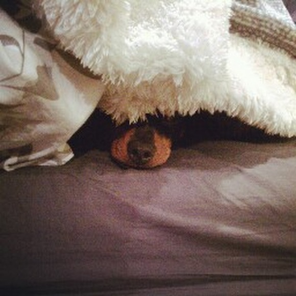 Meet your Posher, Krystal