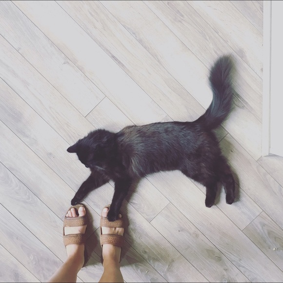 Meet your Posher, Court - Picture 4 of 4