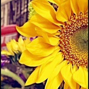 Meet your Posher, Camila