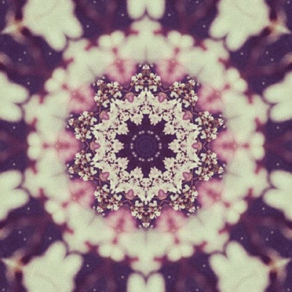 Meet your Posher, Jessie