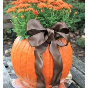 Meet your Posher, Shanna