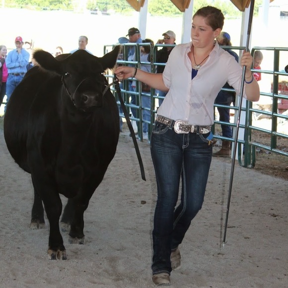 Meet your Posher, Elizabeth - Picture 1 of 1