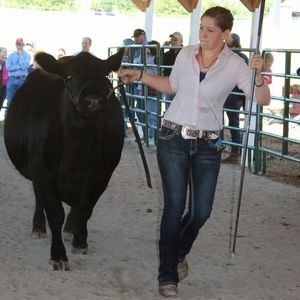 Meet your Posher, Elizabeth