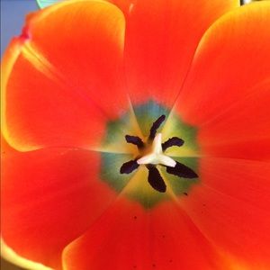 Meet your Posher, Breezie