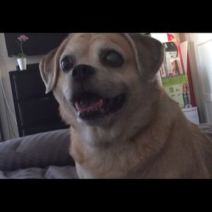 Meet your Posher, Nancy