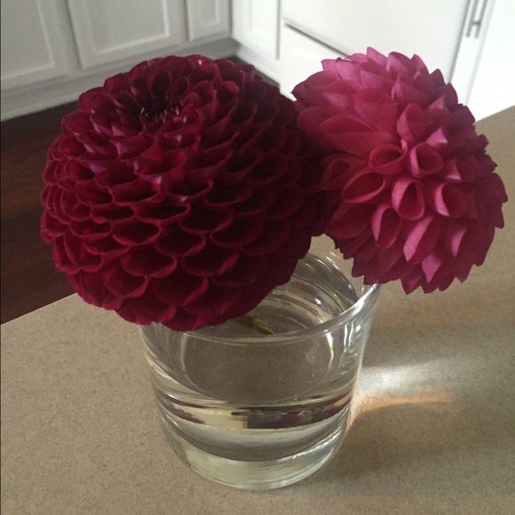 Meet your Posher, Jeannie