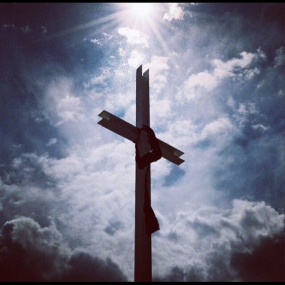 Meet your Posher, Reva - Picture 1 of 1