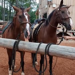 Meet your Posher, Sandrad