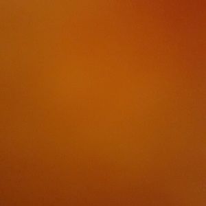 Meet your Posher, Ria