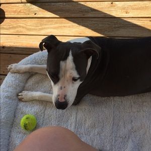 Meet your Posher, Kaycee