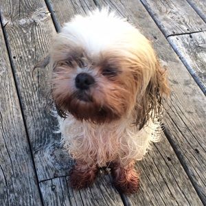 Meet your Posher, Kate