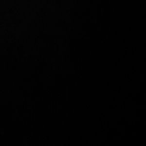 Meet your Posher, Sophia